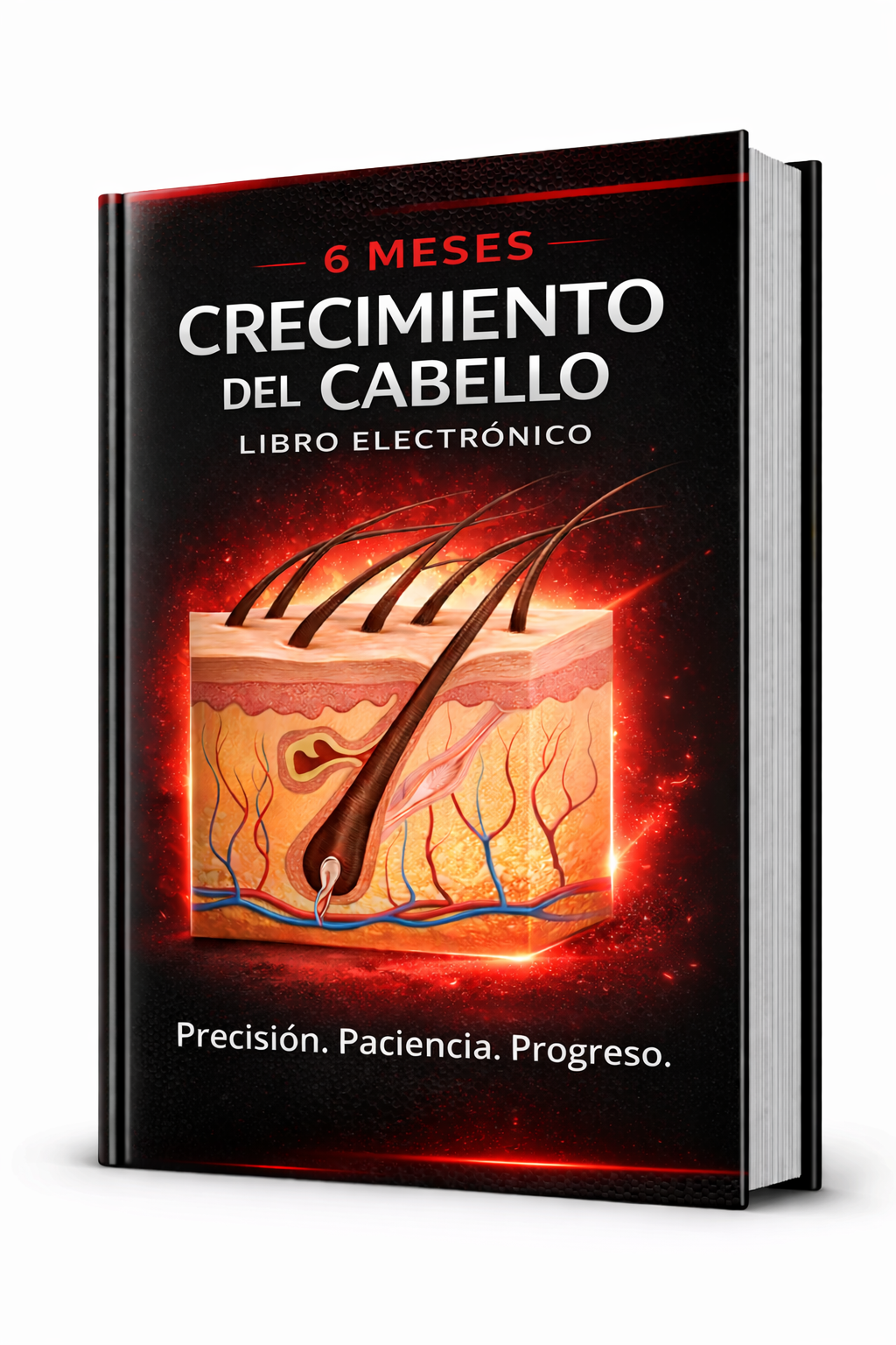 E-book sobre el crecimiento del cabello en 6 meses